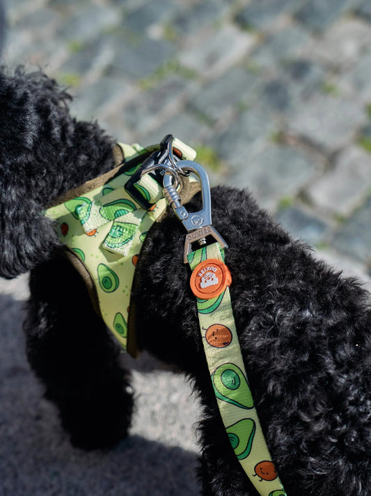 Lesă Avocado