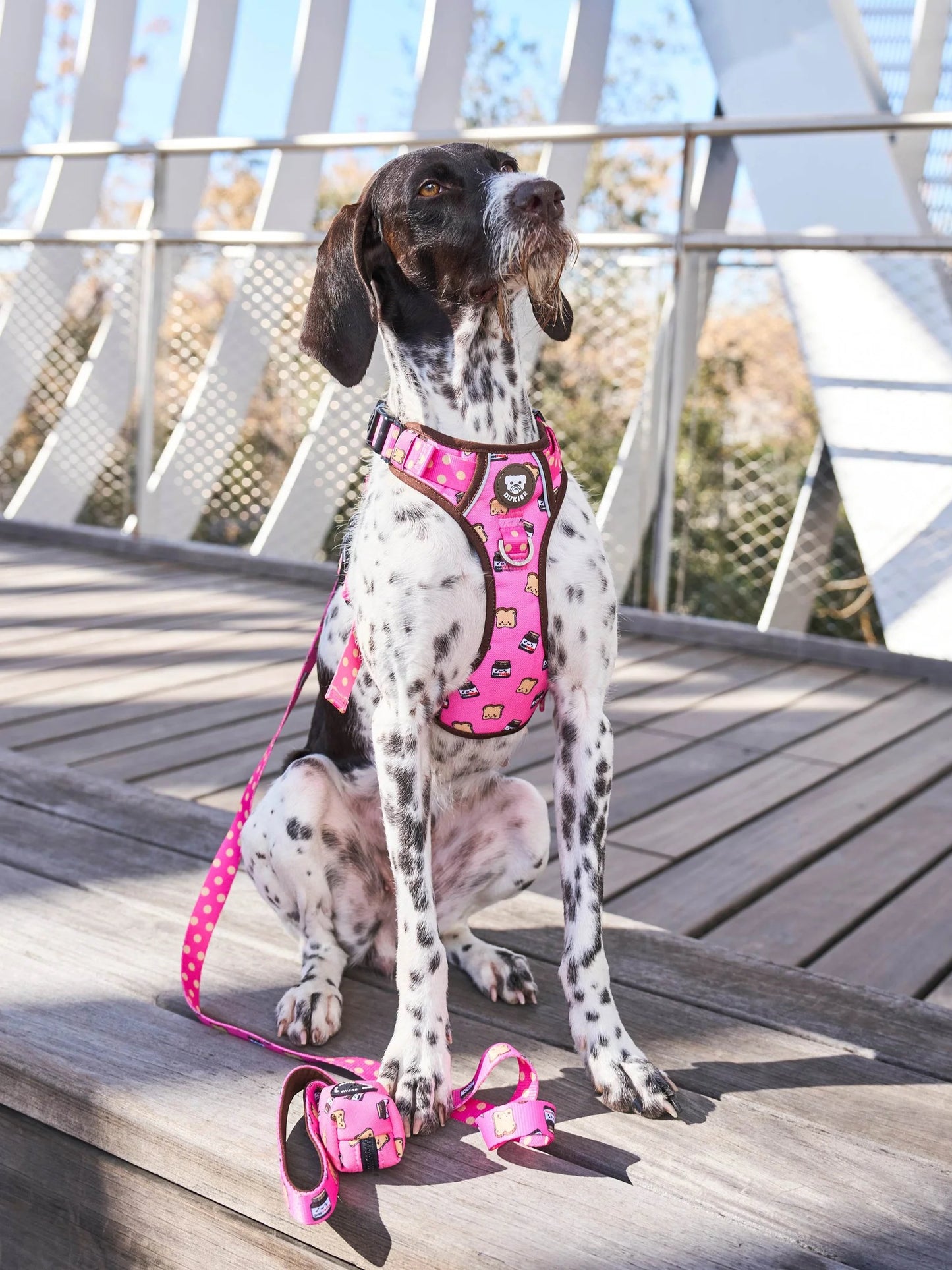 Ham Trail Dogtella