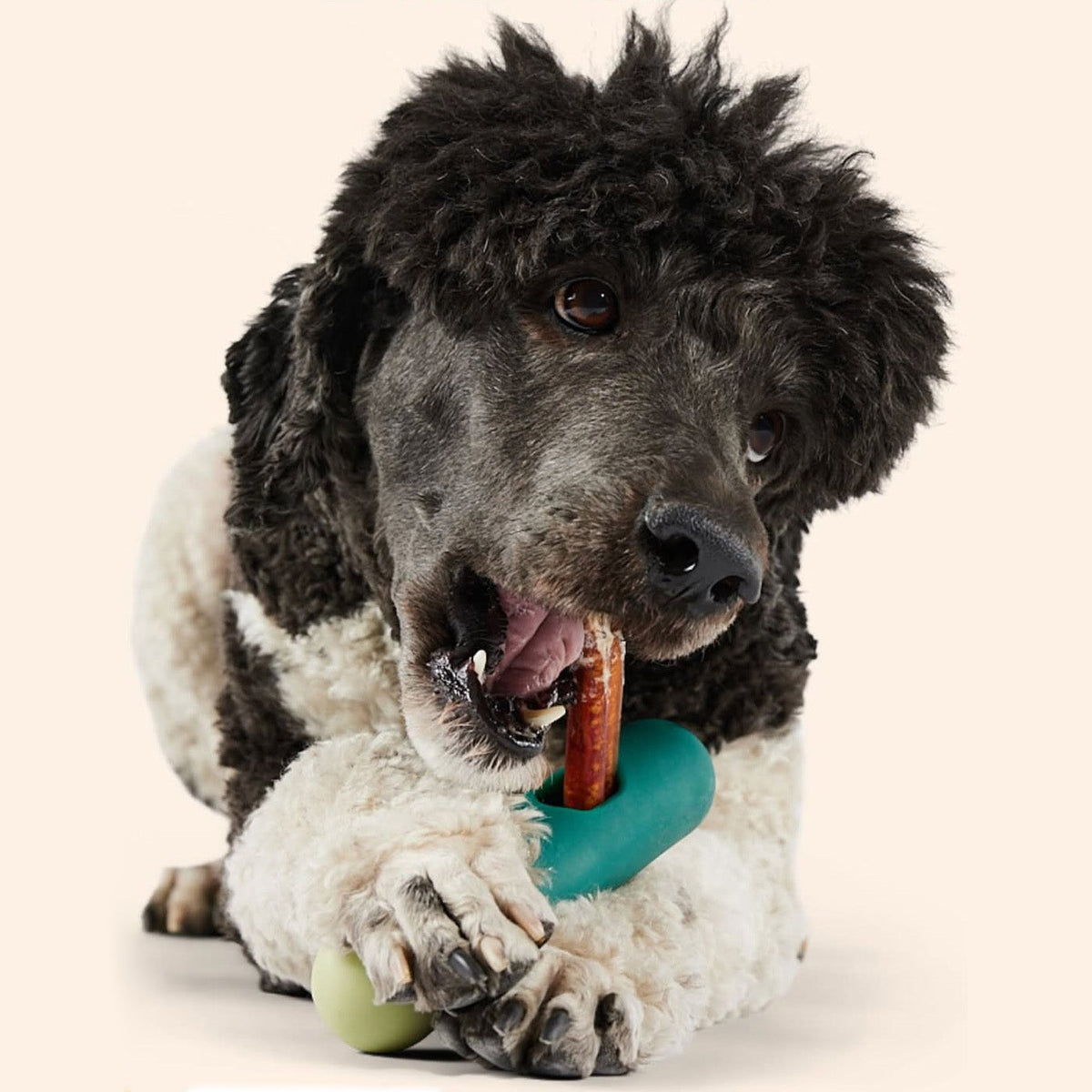 BullySafe Chew Holder
