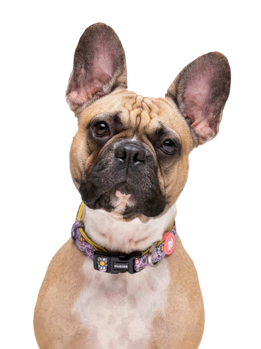 Zgardă Flower Power