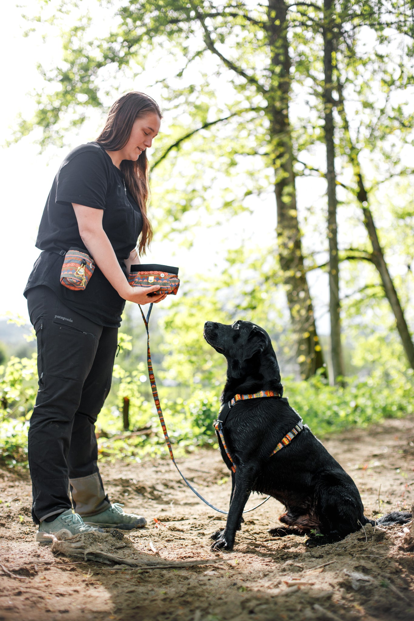 Lesă Nightless Night