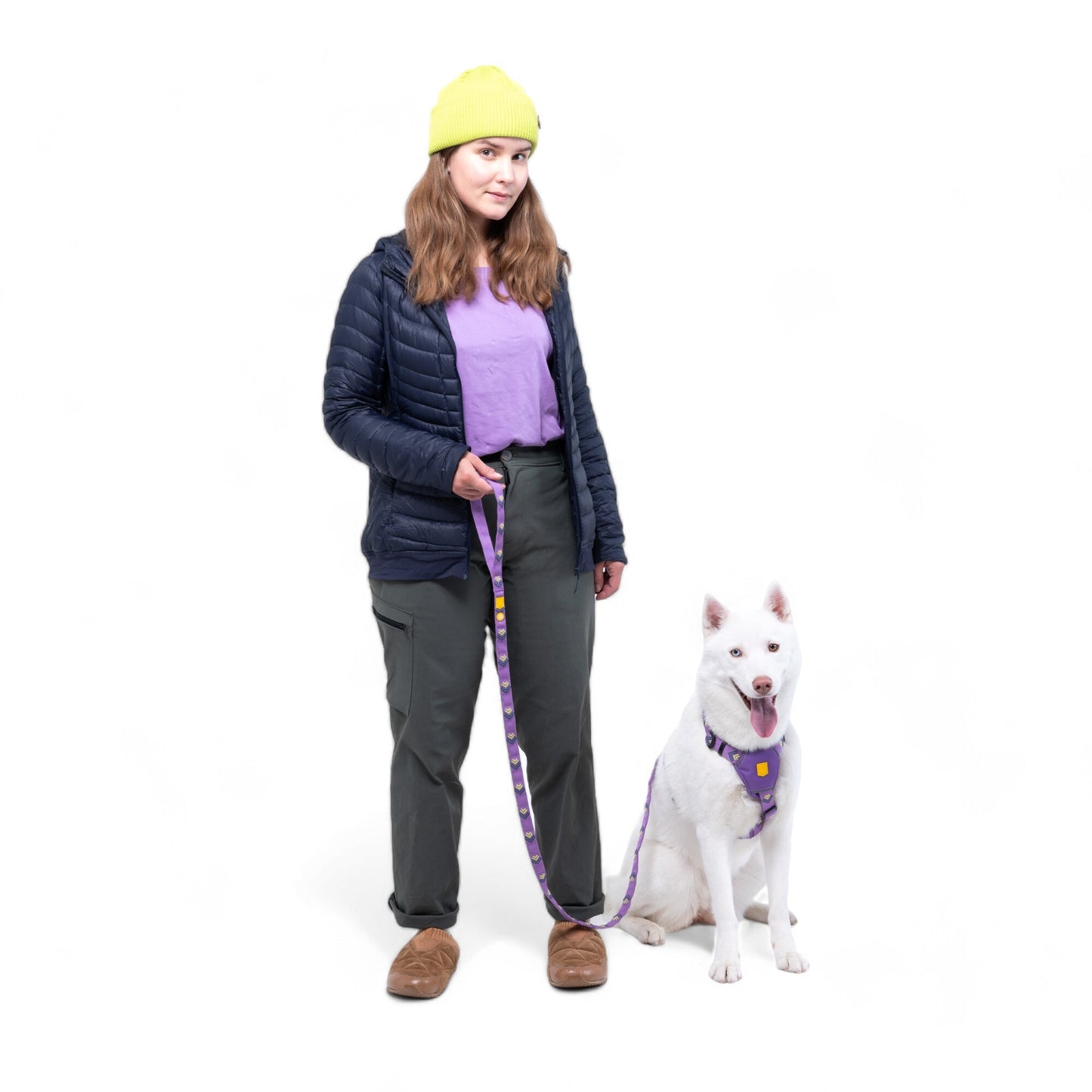 Lesă Northern Lights