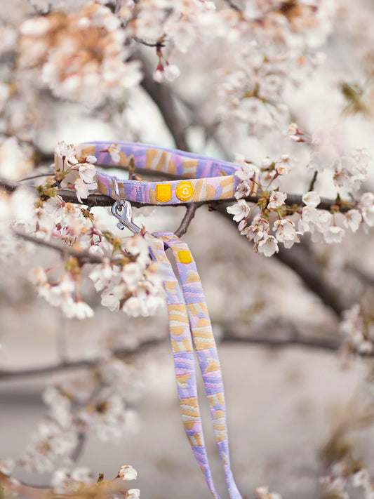 Lesă Sunshower