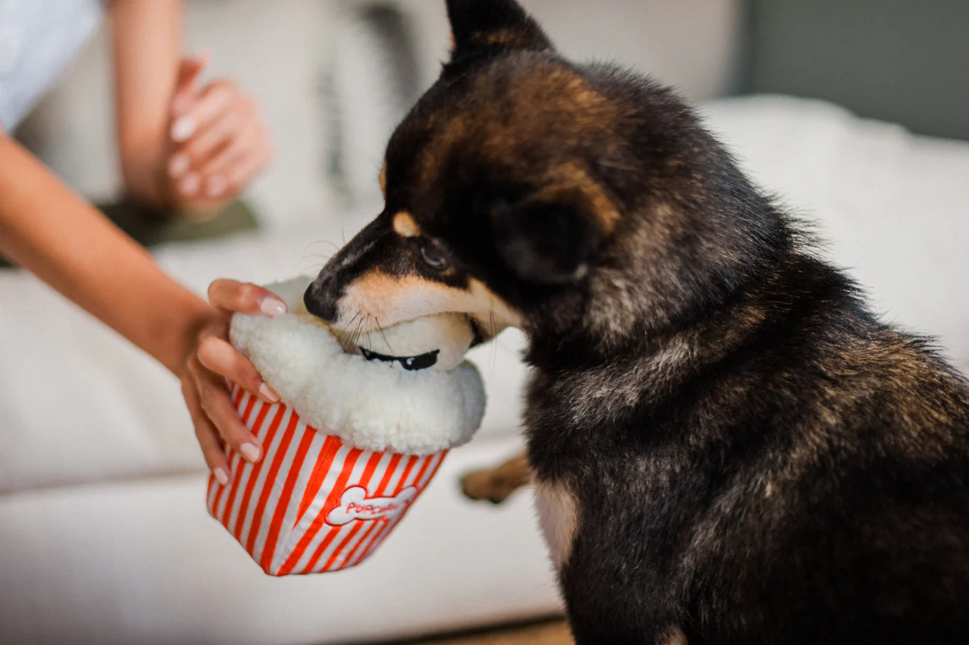 Poppin’ Pupcorn