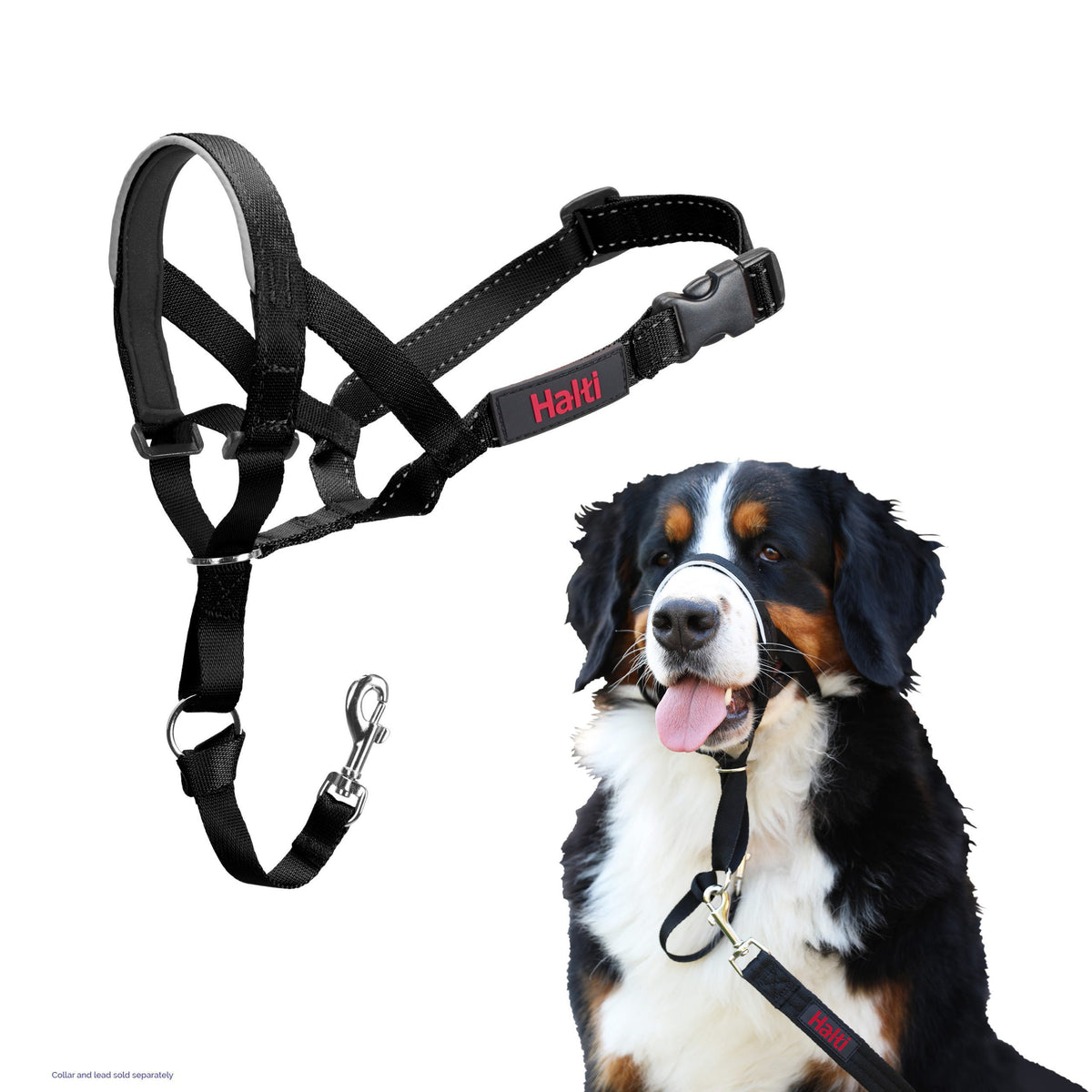 Halti Headcollar