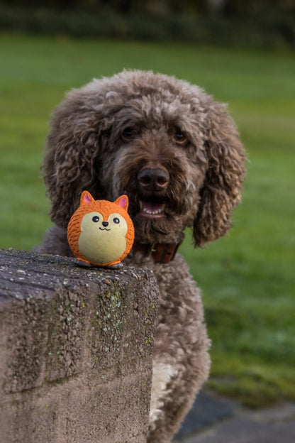 Minge Vulpiță Dragută