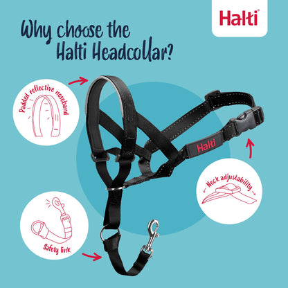 Halti Headcollar
