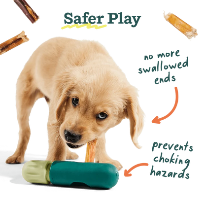 BullySafe Chew Holder