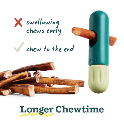 BullySafe Chew Holder
