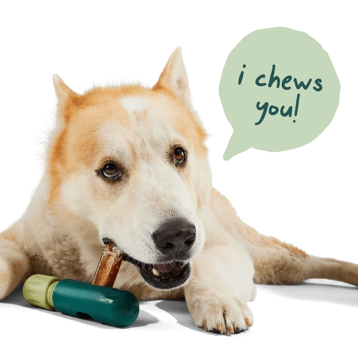 BullySafe Chew Holder