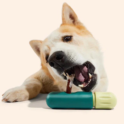BullySafe Chew Holder
