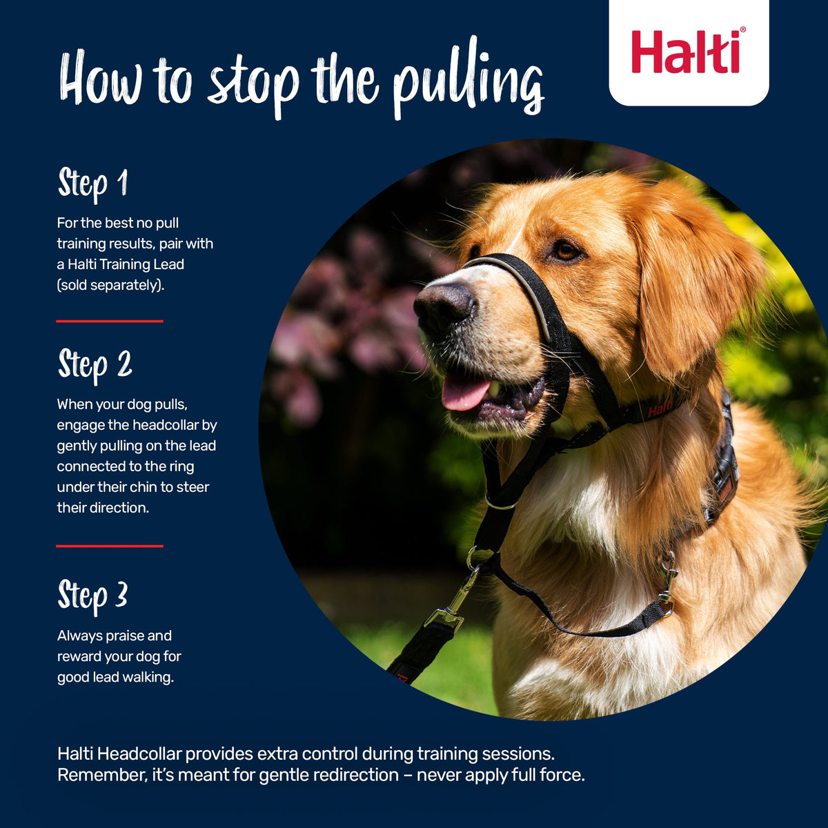 Halti Headcollar