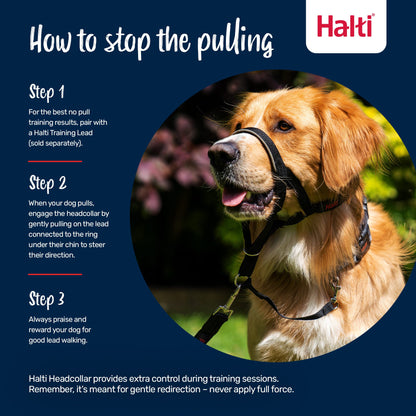 Halti Headcollar