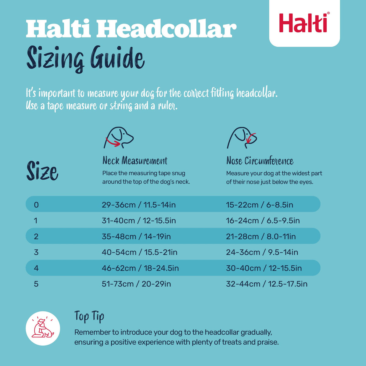 Halti Headcollar