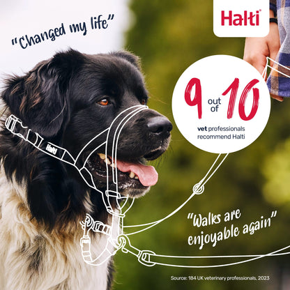 Halti Headcollar