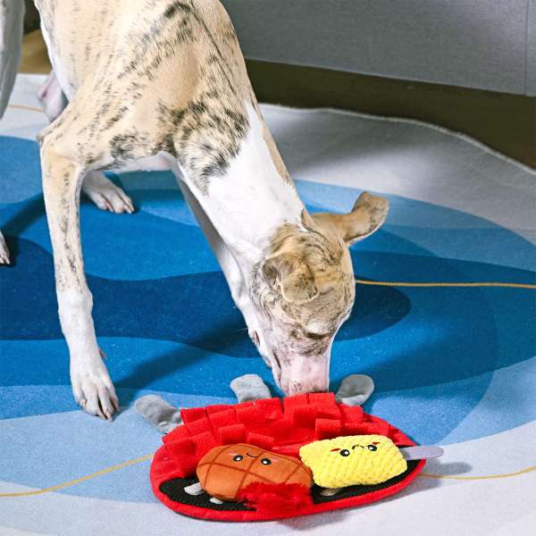 Covoraș interactiv BBQ Grill