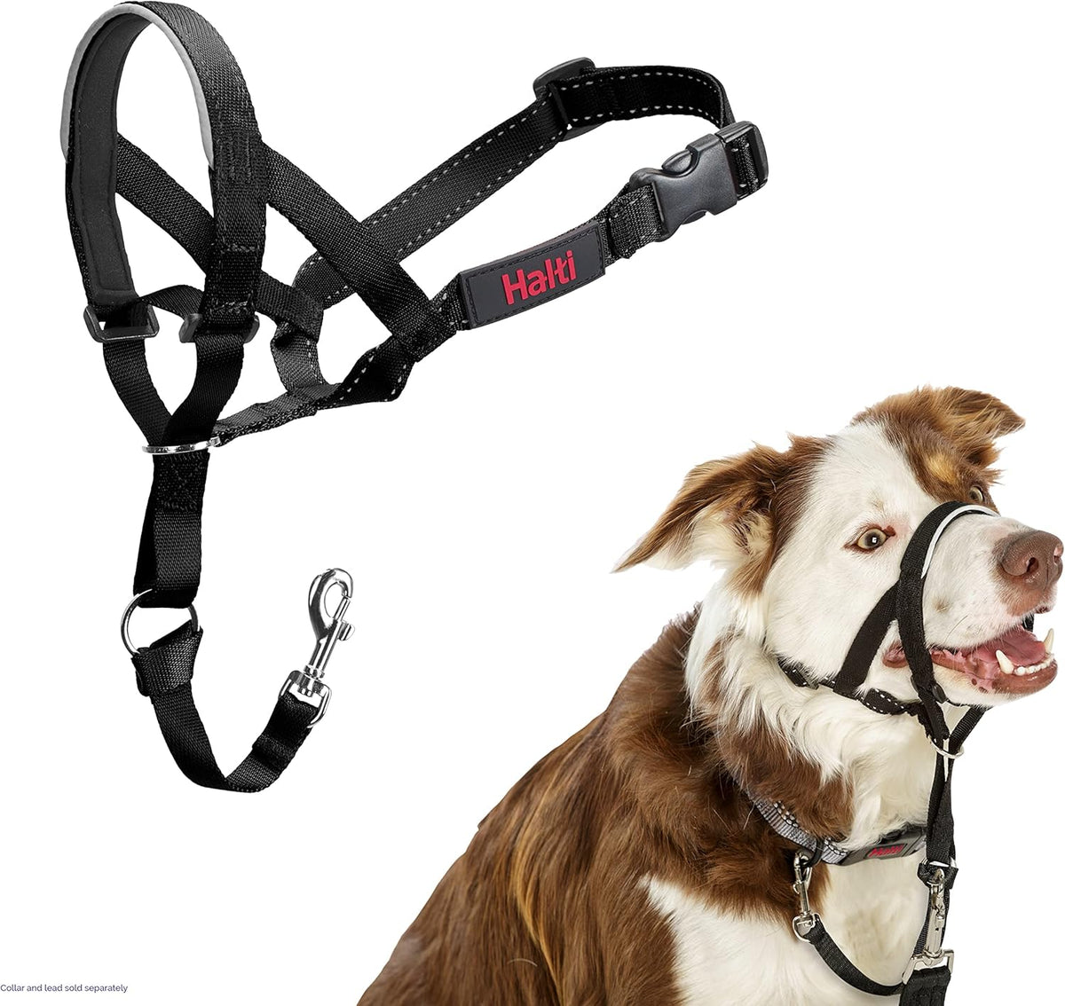 Halti Headcollar