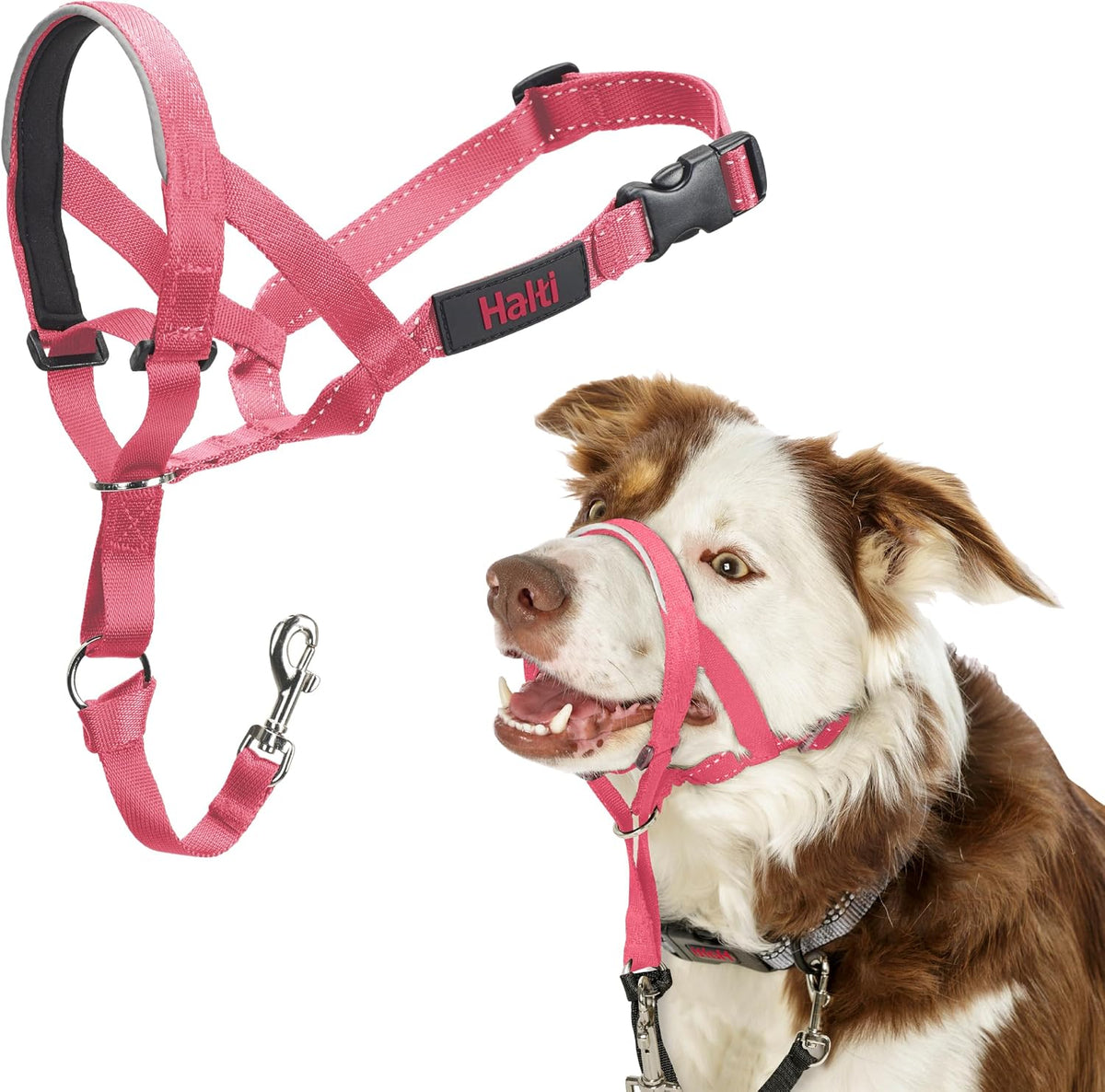 Halti Headcollar