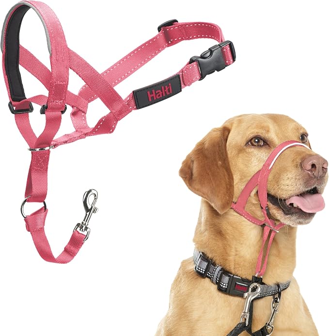 Halti Headcollar
