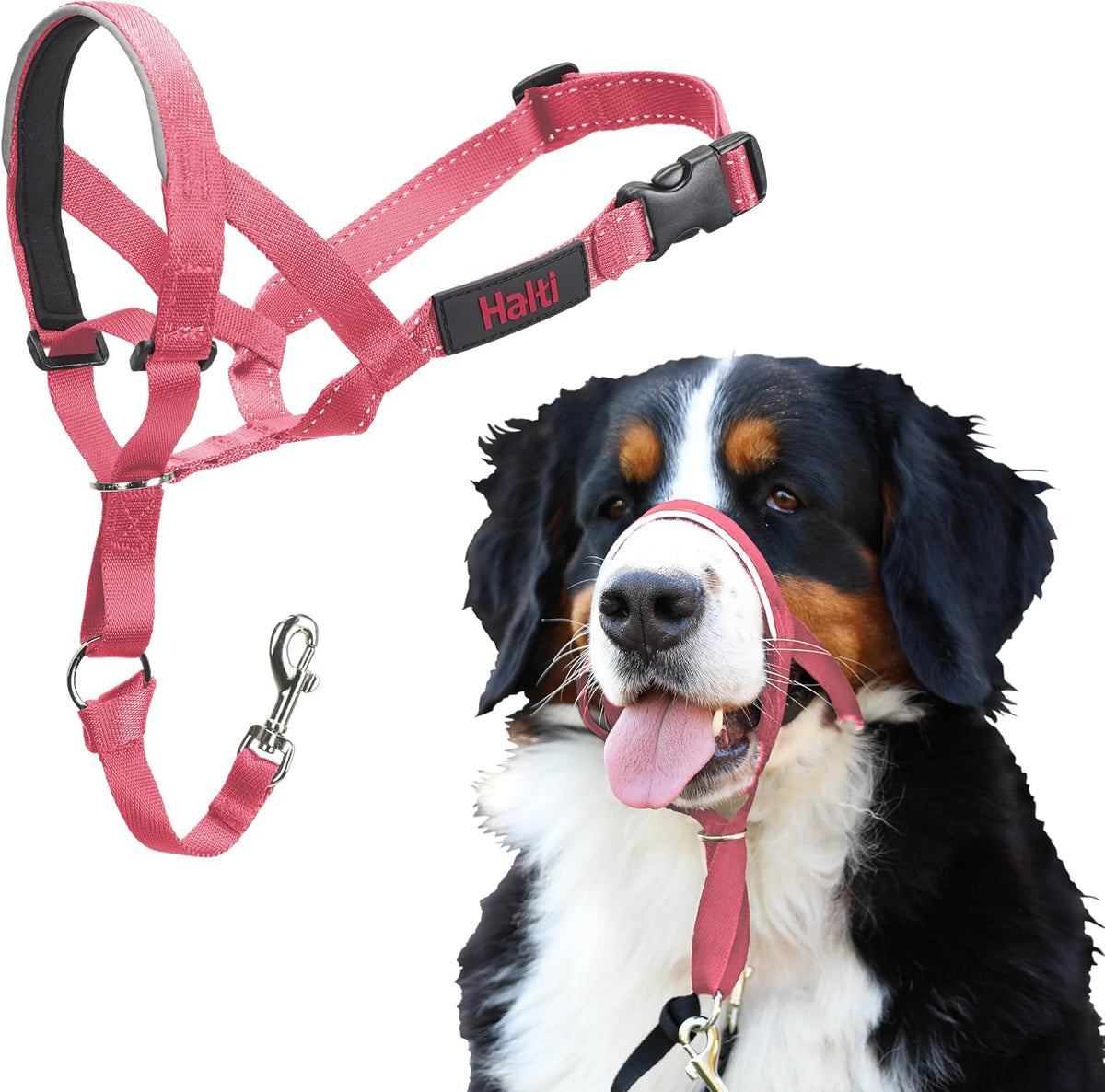 Halti Headcollar