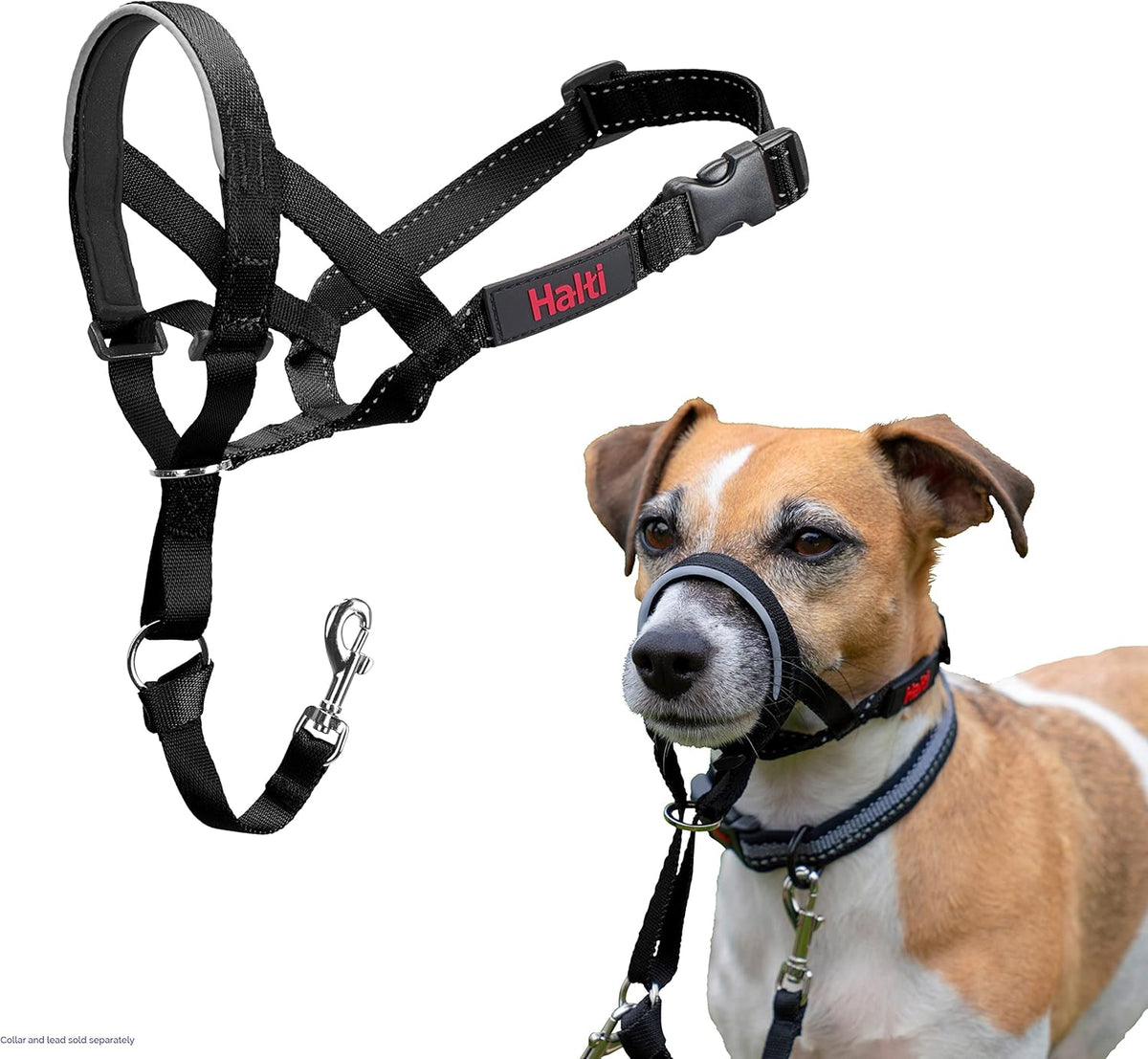 Halti Headcollar