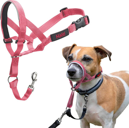 Halti Headcollar