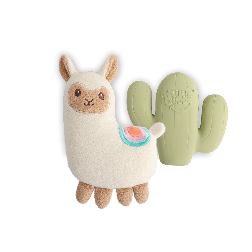 Little Buddy set Fiesta