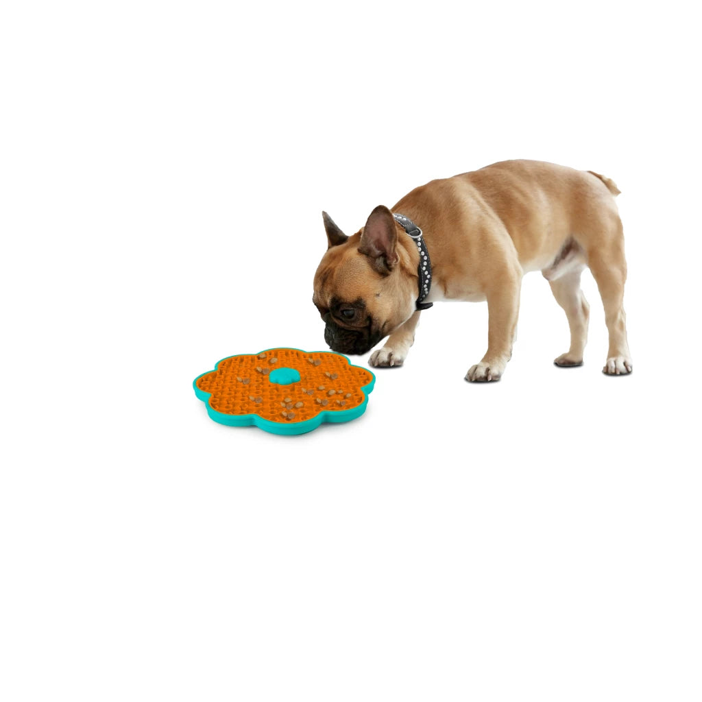 Calming Pals Lick a disk