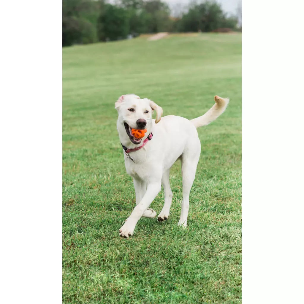 Minge Air Fetch