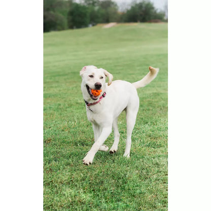 Minge Air Fetch