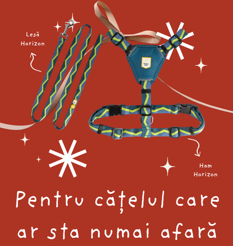 Cadou pentru cățelul care ar sta mereu afară - Ham + Lesă Horizon