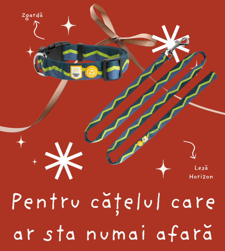 Cadou pentru cățelul care ar sta mereu afară - Zgardă + Lesă Horizon