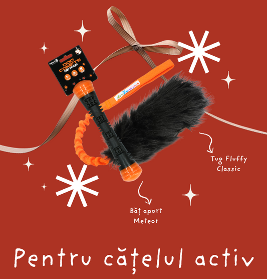Cadou pentru cățelul activ