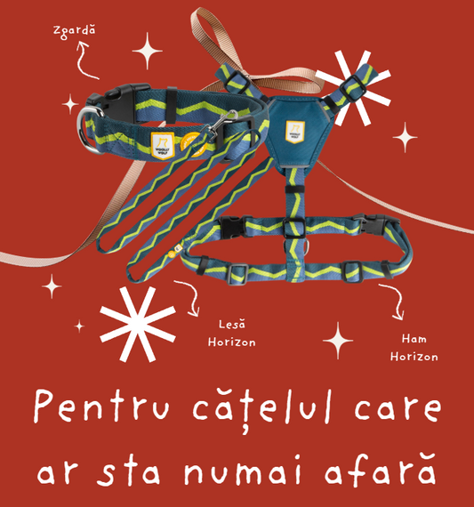 Cadou pentru cățelul care ar sta mereu afară - Ham + Zgară + Lesă Horizon