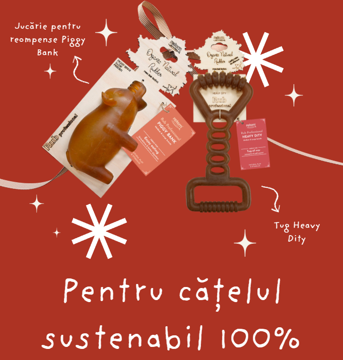 Cadou pentru cățelul sustenabil 100%
