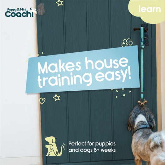 Clopoței Dresaj Coachi Toilet Training