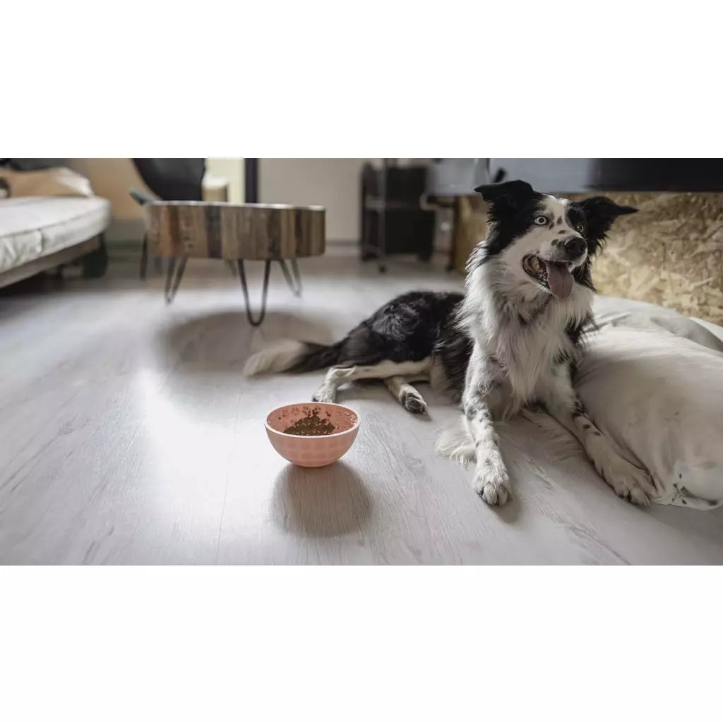 Lick Mat Wobble Bowl