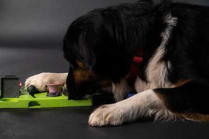 Eat Slow Live Longer Puzzle