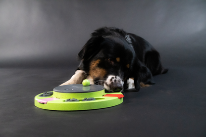 Eat Slow Live Longer Puzzle