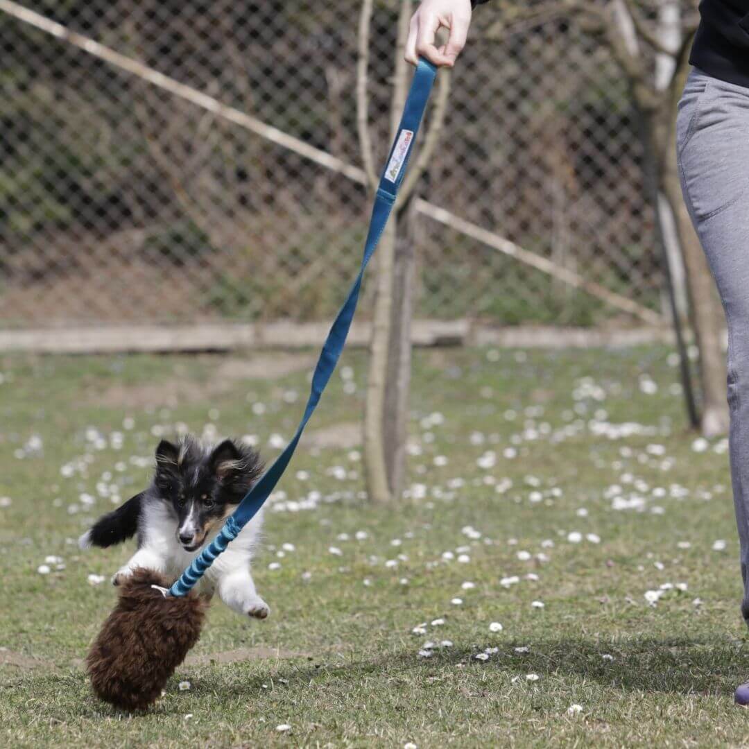 Fluffy Pom-Pom Long