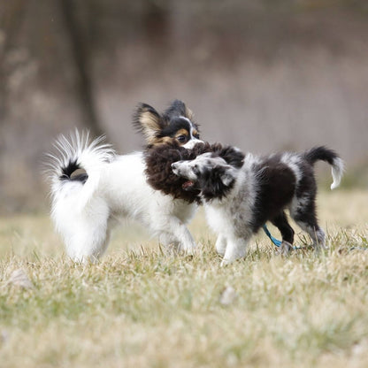Fluffy Pom-Pom Long