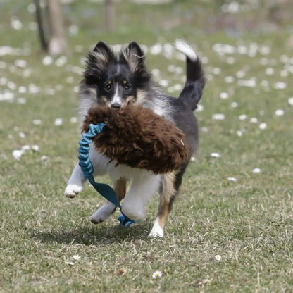 Fluffy Pom-Pom Long