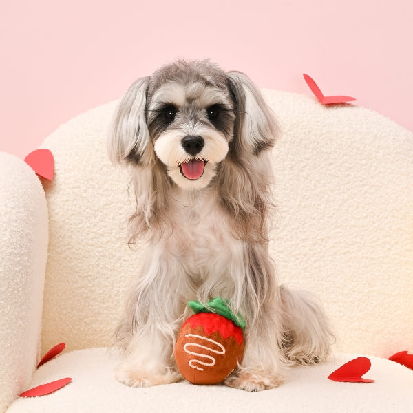 Woof Love - Minge căpșunică în ciocolată