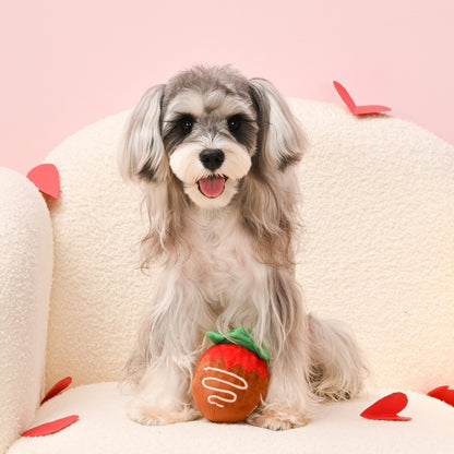 Woof Love - Minge căpșunică în ciocolată