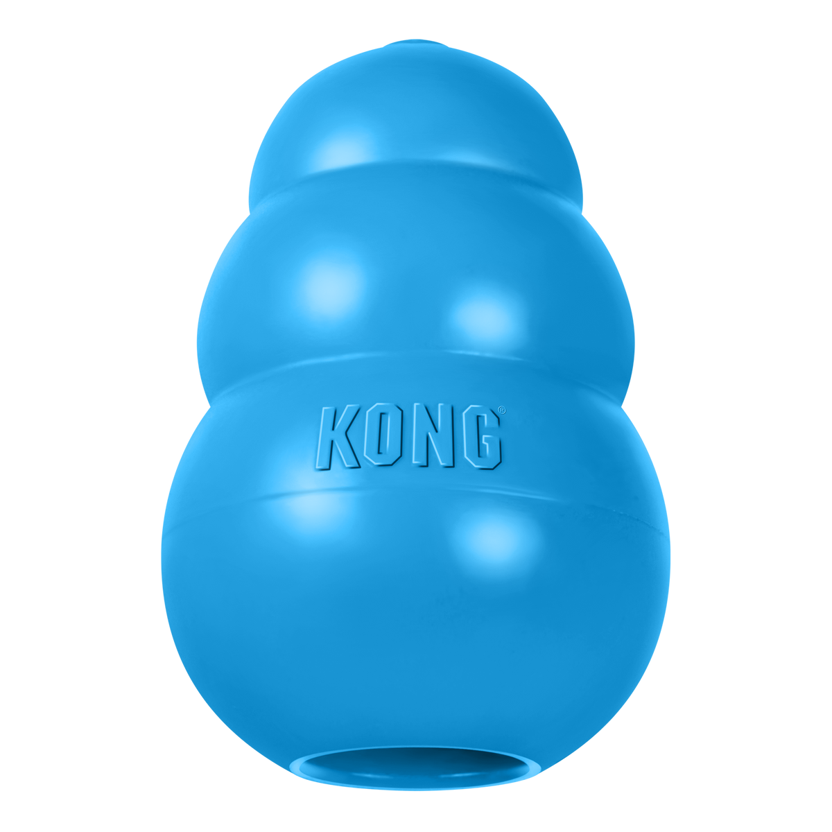 KONG Puppy
