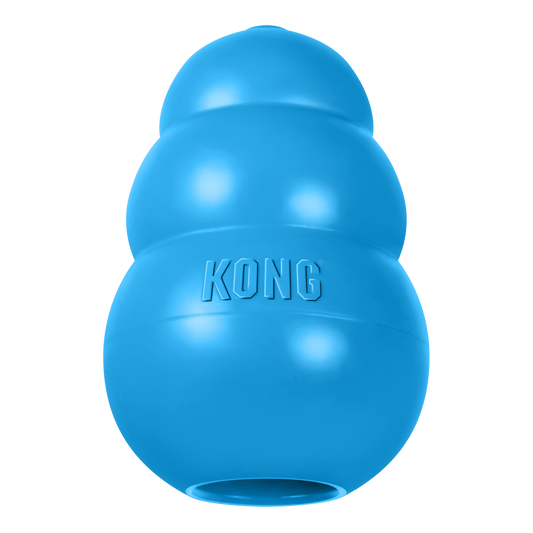 KONG Puppy