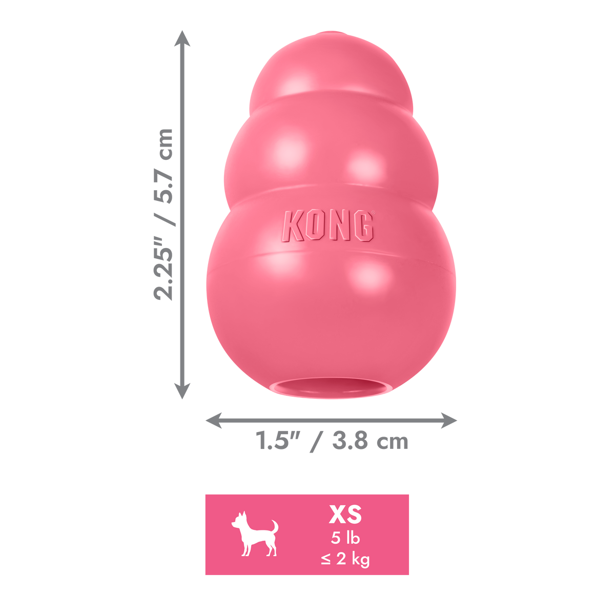 KONG Puppy