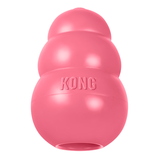 KONG Puppy
