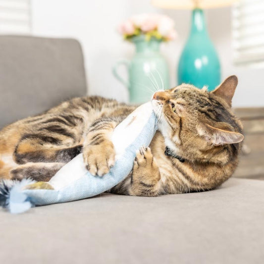 Kittybelles Kicker Sardină