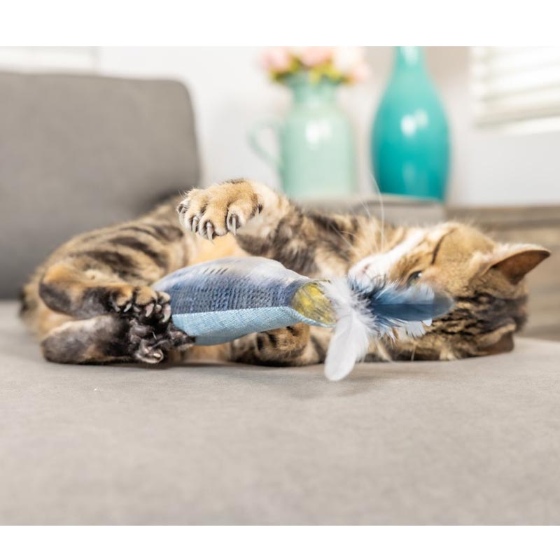 Kittybelles Kicker Sardină